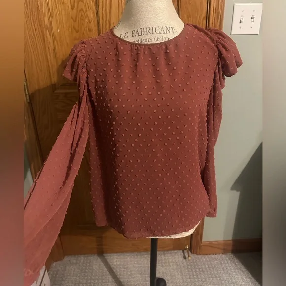 ZARA Swiss dot long sleeve blouse - Picture 1 of 3